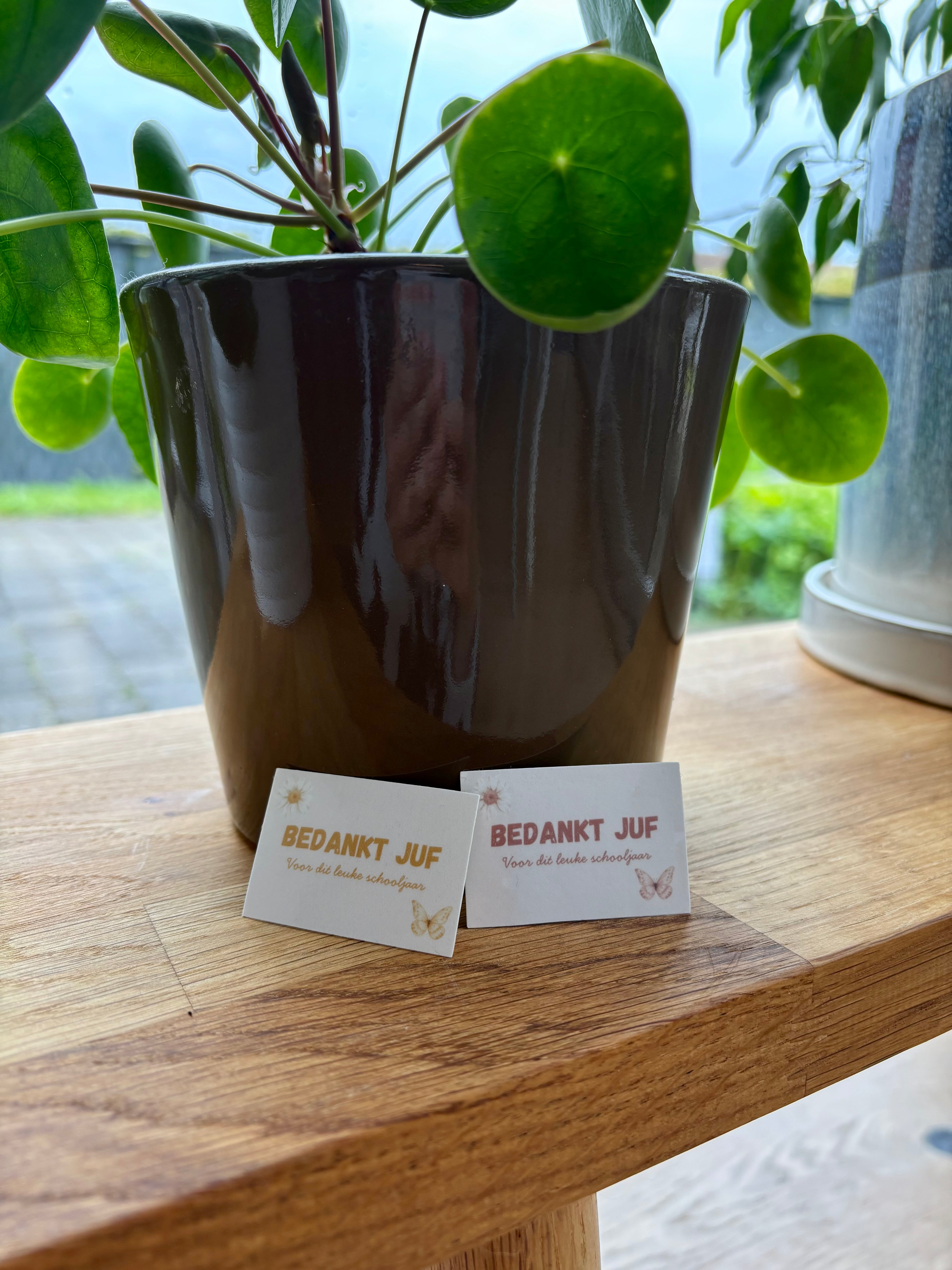 Juf/meester bedank kaarsje - MADELIEFJE