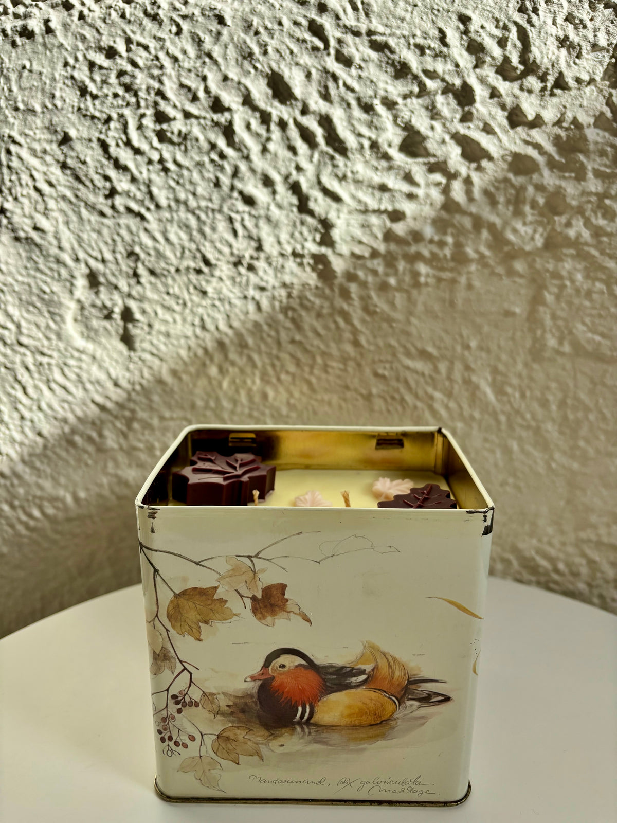 Woodland Duck Tin (Gember Koekje)