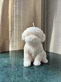 Basile - XL Hond