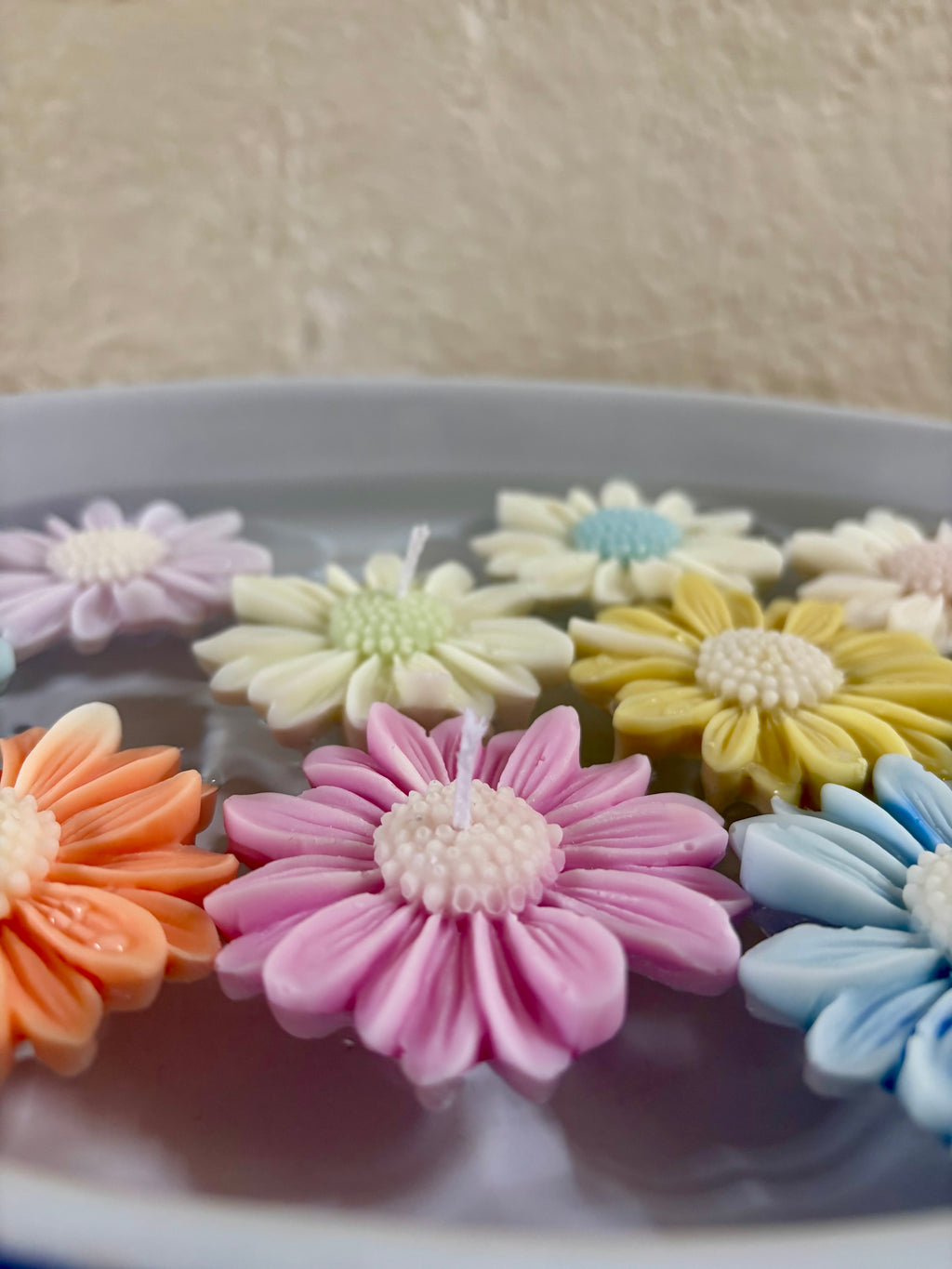 Daisy