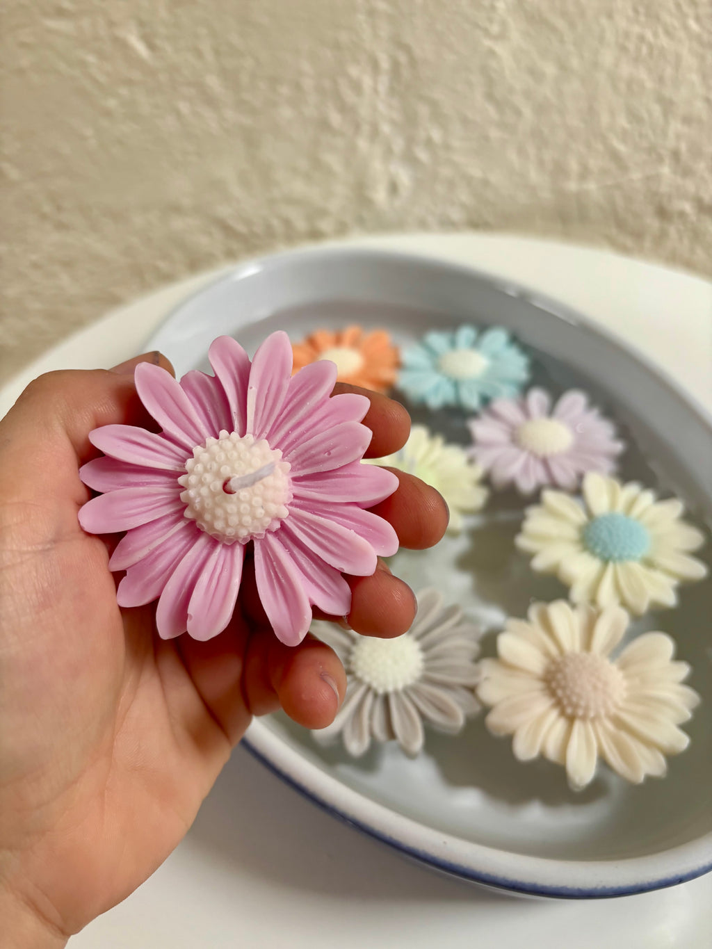 Daisy