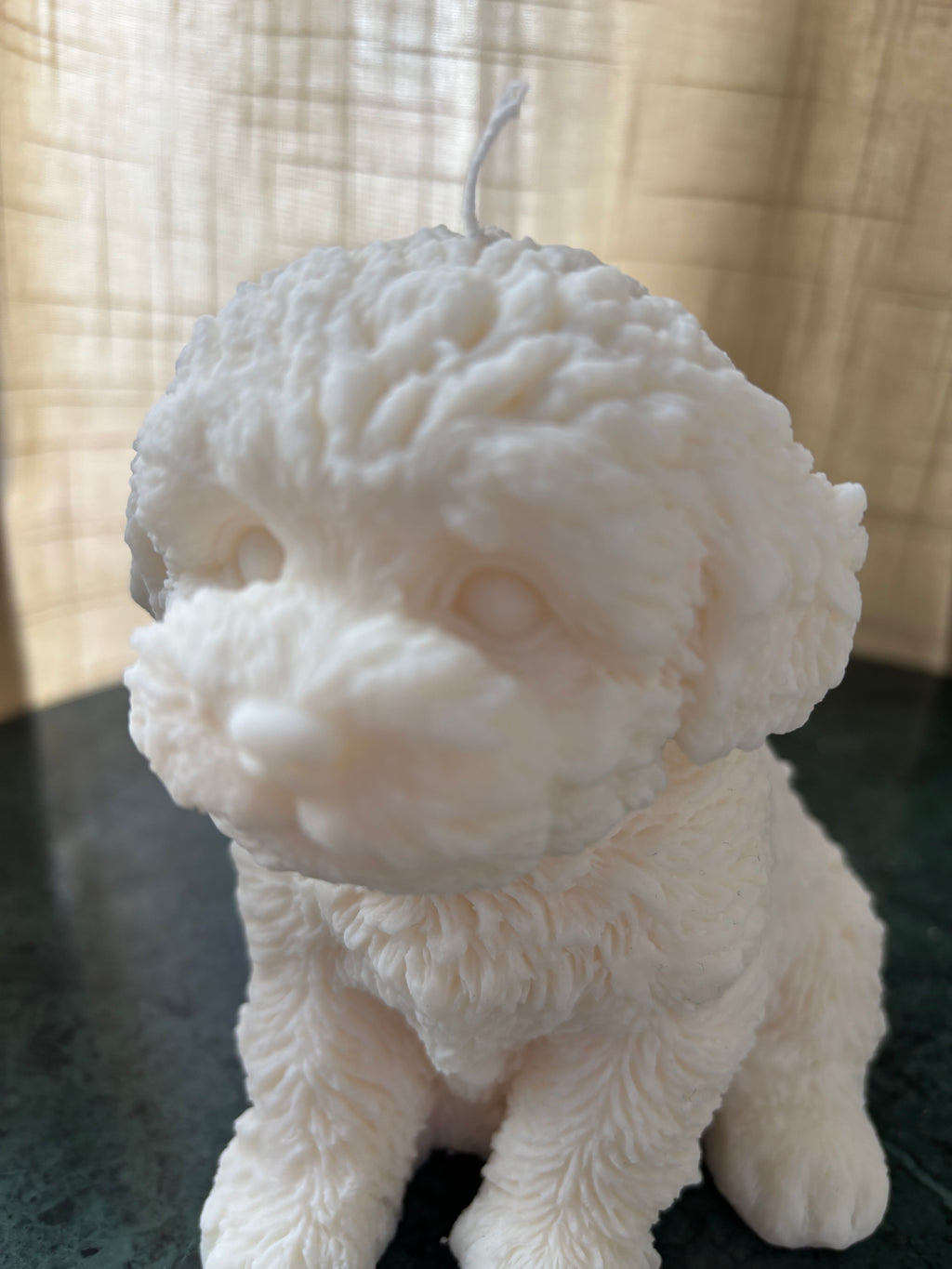 Basile - XL Hond
