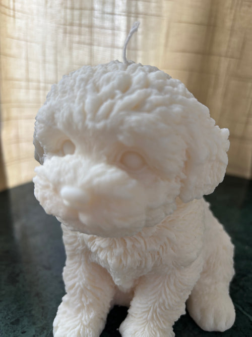 Basile - XL Hond