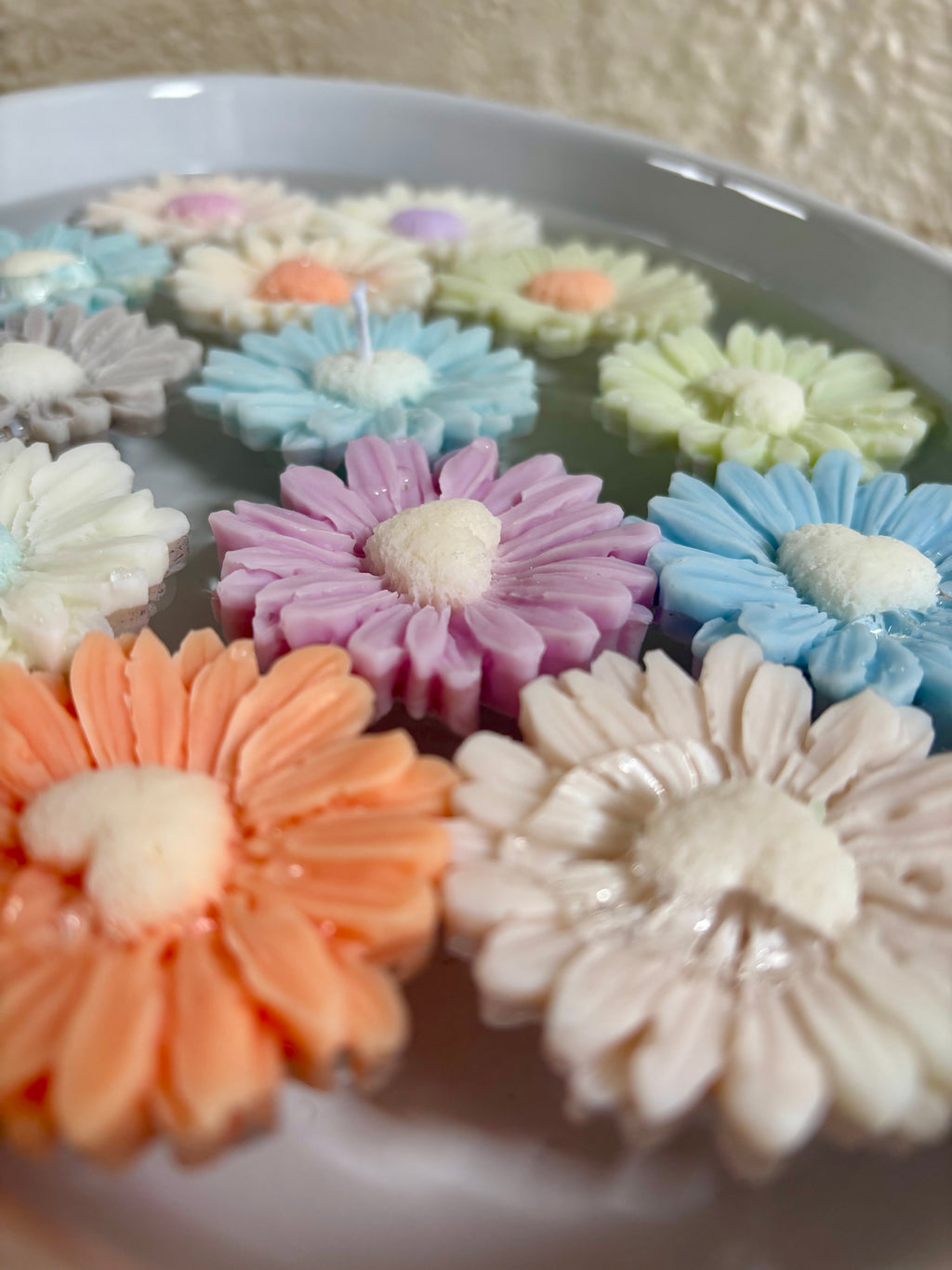 Daisy Heart