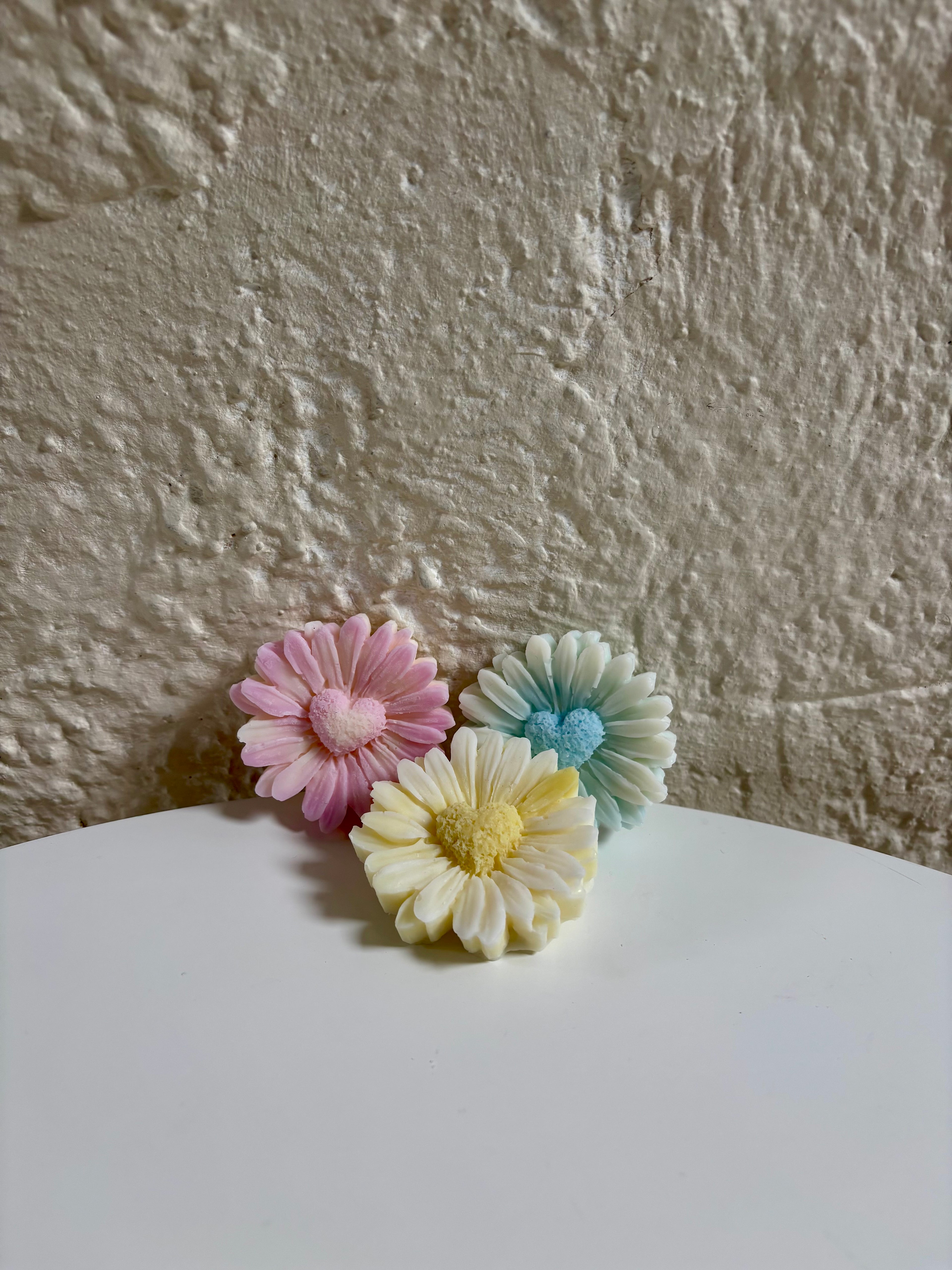Daisy Heart