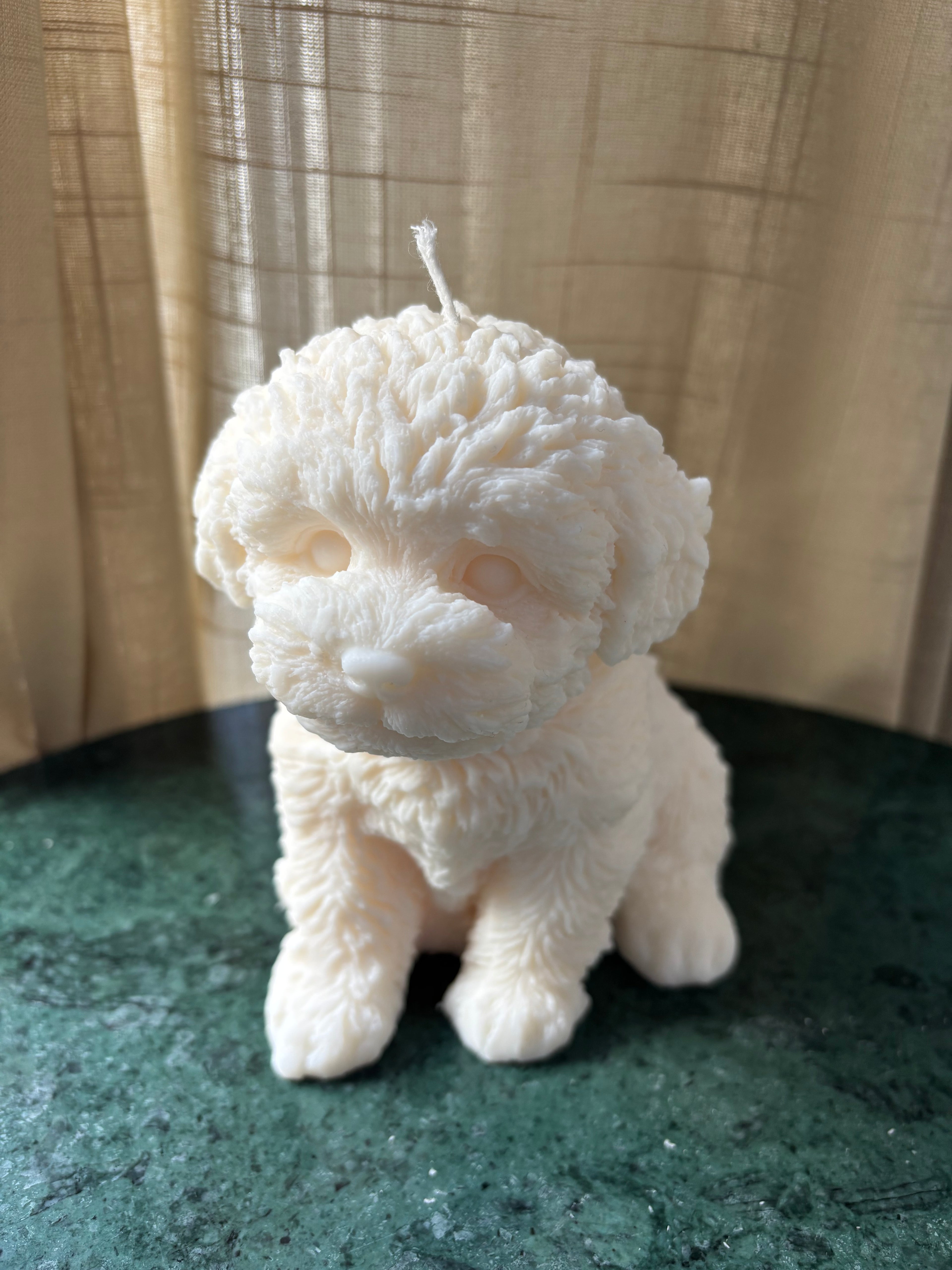 Basile - XL Hond