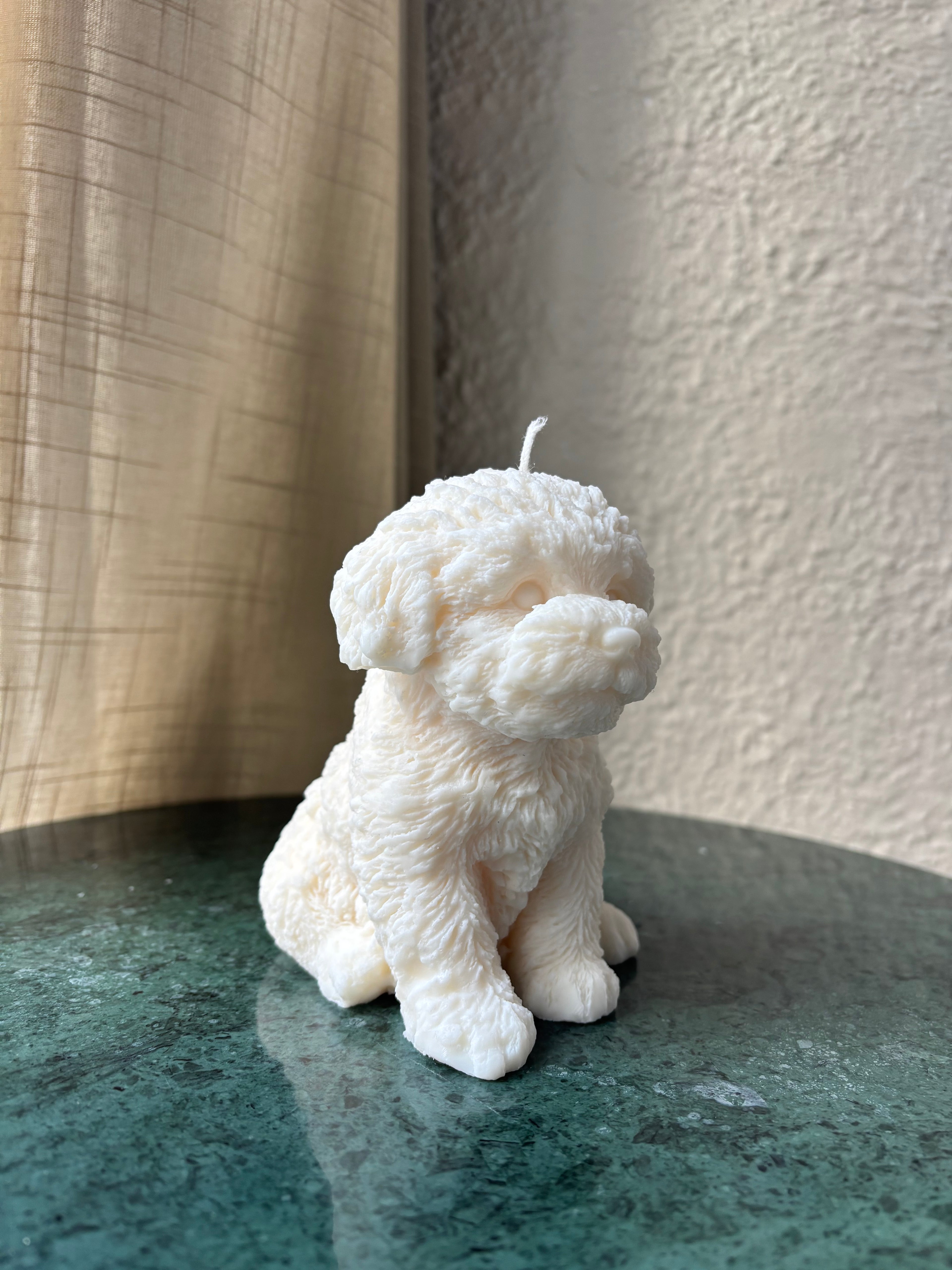 Basile - XL Hond